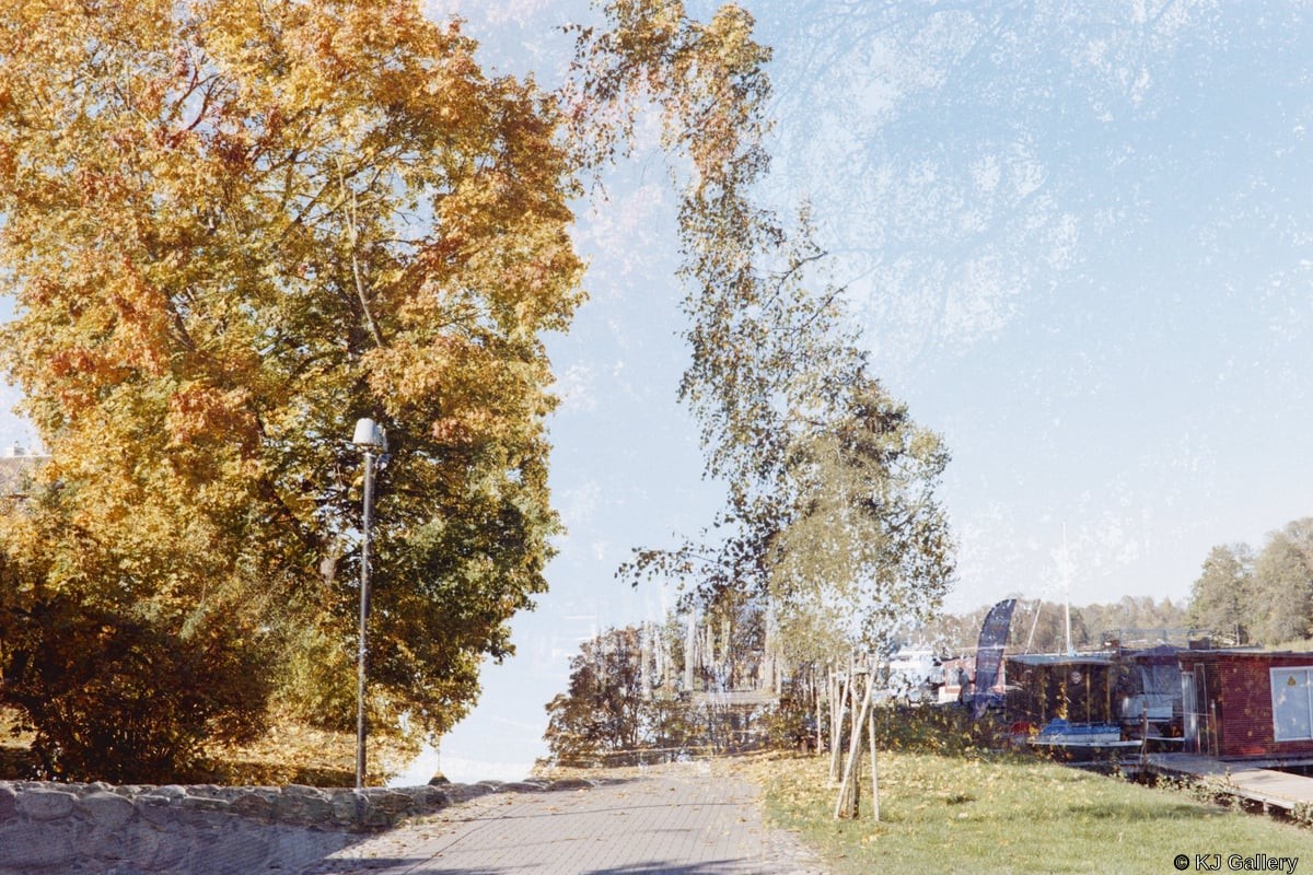 Double Autumn - Double Exposure, Kodak Gold