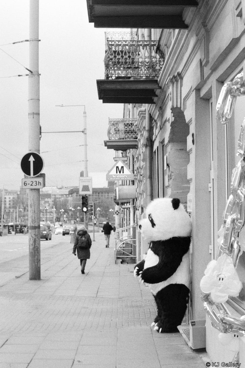 Panda - Kentmere Pan 400
