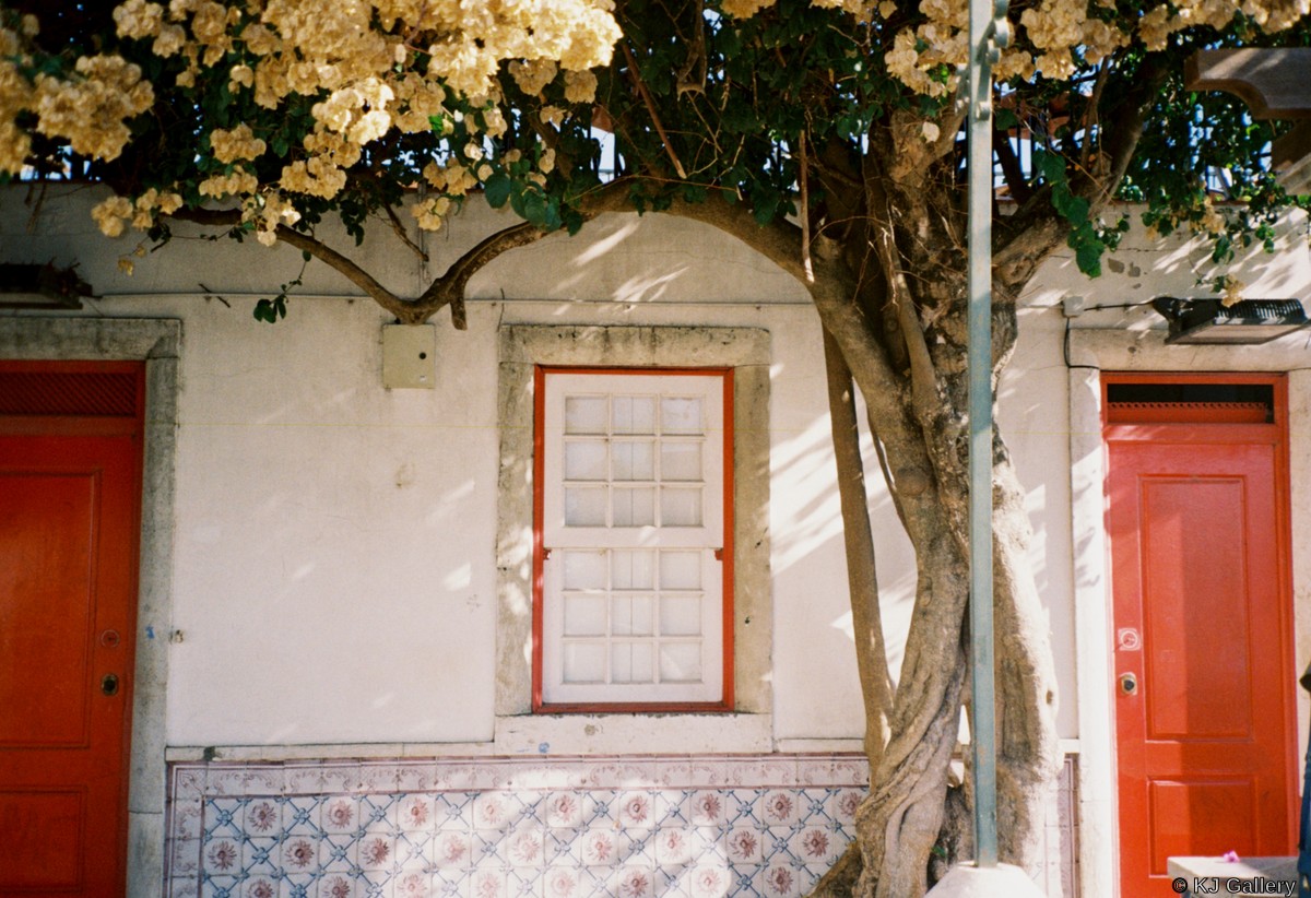 Lisbon doors - Porugal, Lisbon, Kodak Gold 200