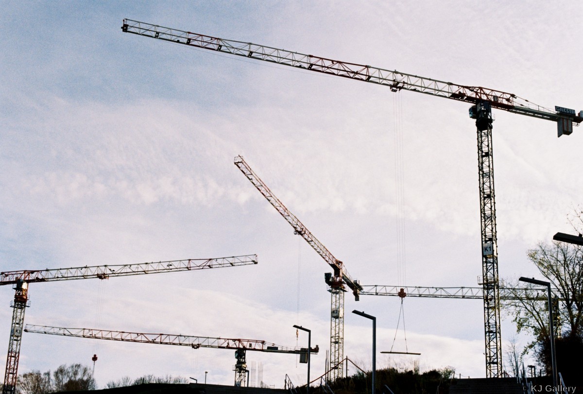 Lemurs - Vilnius, Lomo Metropolis