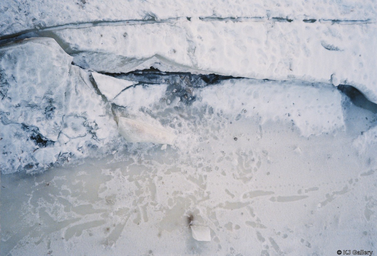 Plyšys - Kodak Ultramax 400