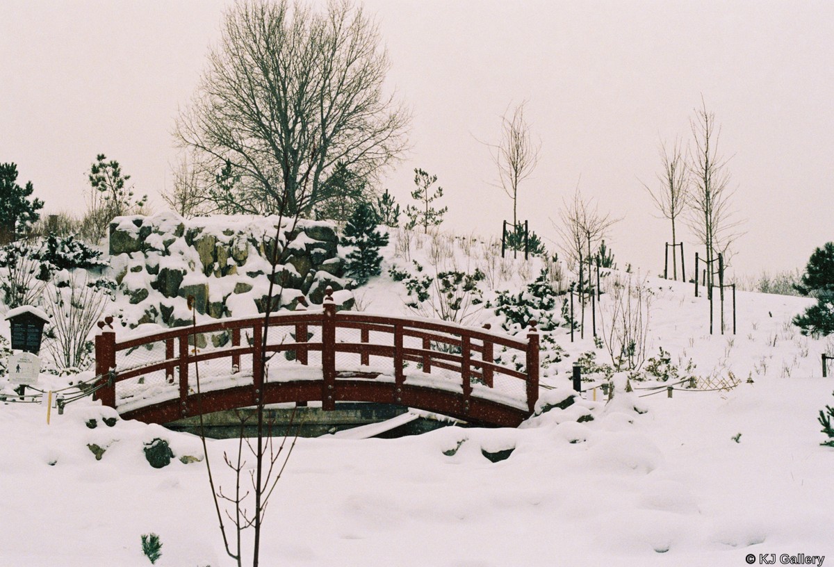 Japonija Vilniuje - Lomo Color 800