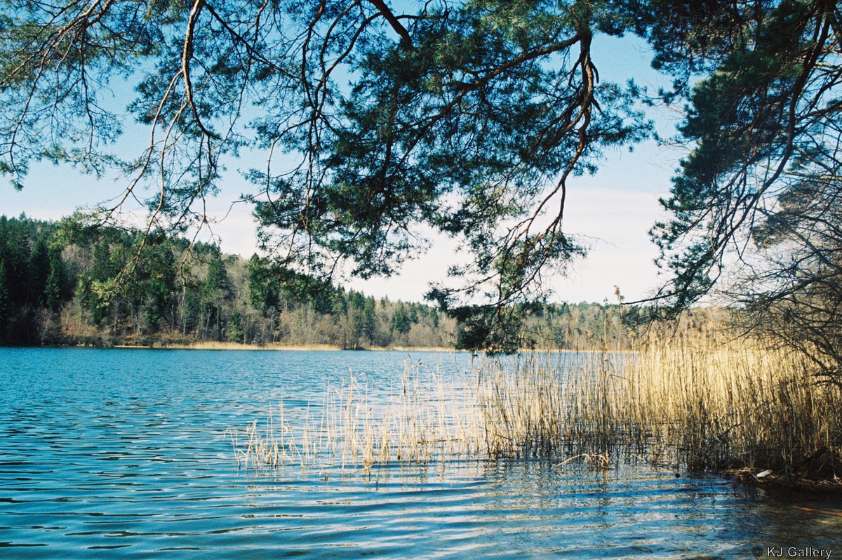 Žalieji - Lomo Color 800