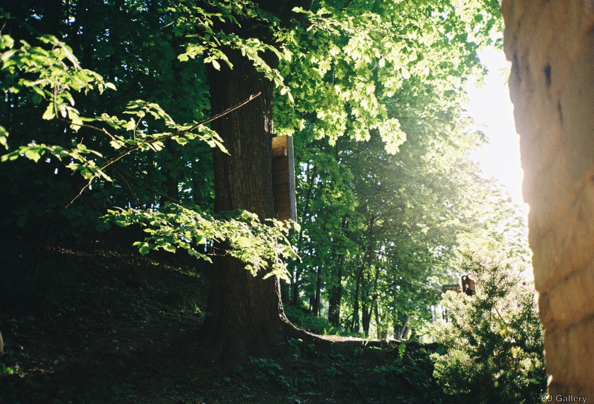 Saulėlydis už kampo - Kodak Ultramax 400