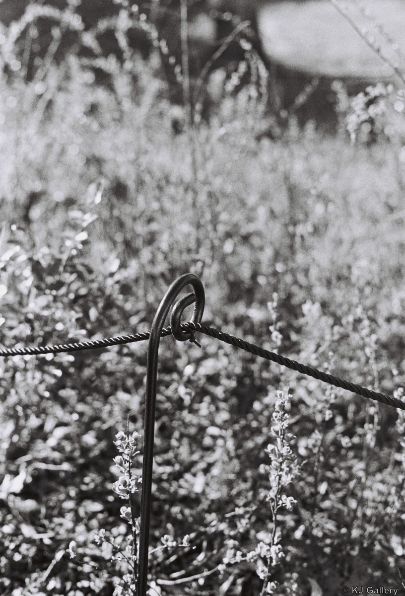 Kablys - Ilford HP5 PLUS 400
