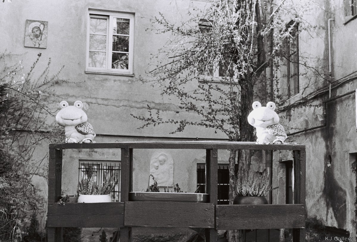 Trinity - Ilford HP5 PLUS 400