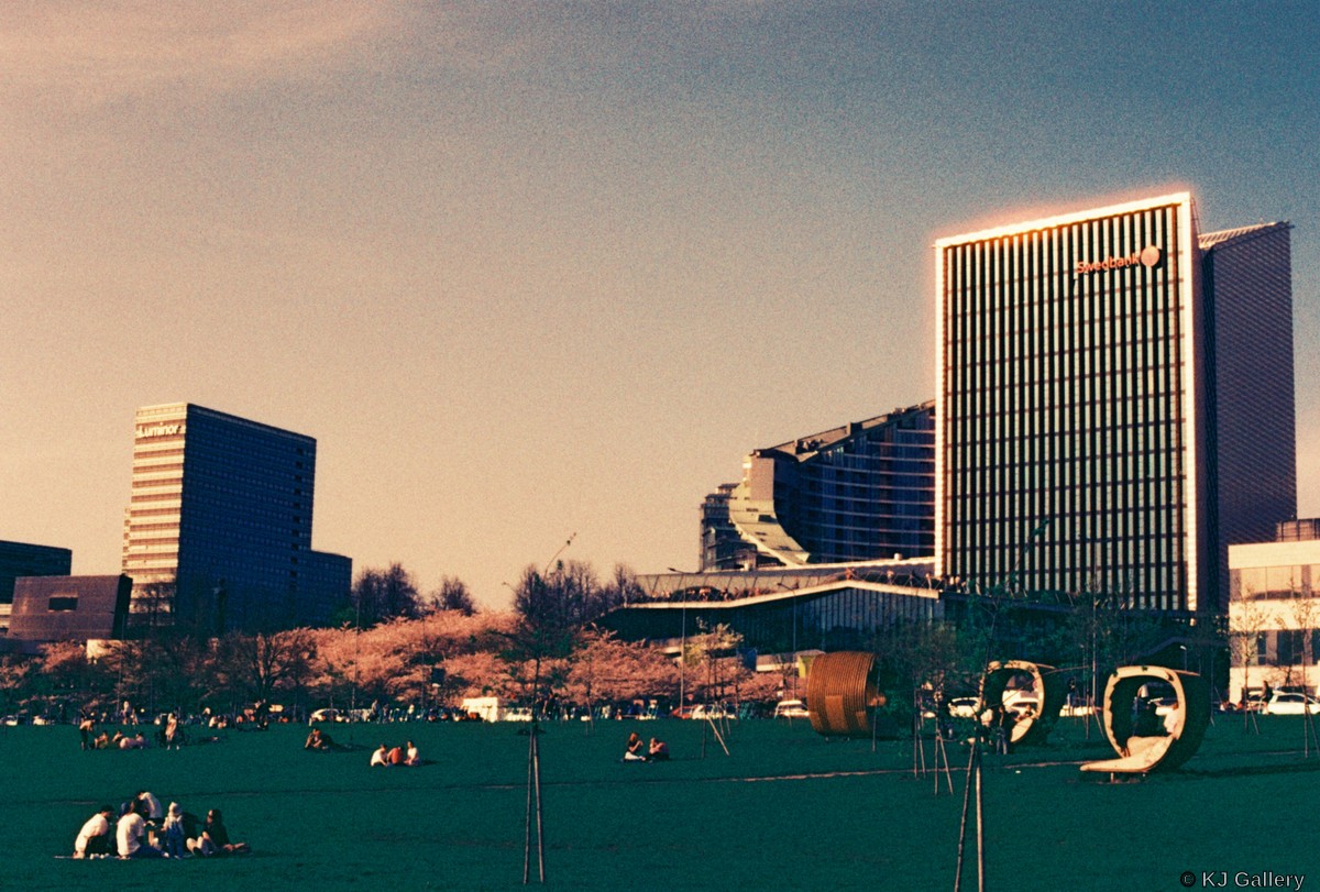 Sakuras from afar - Ilford Phoenix - very experimental film apparently