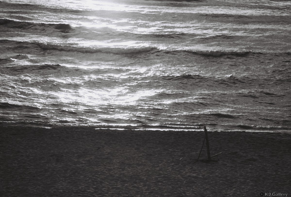 Sparkly waves - Kentmere 100