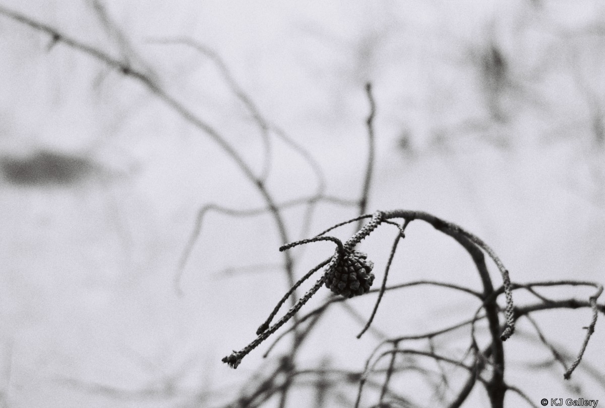 R1-05465-0013 - No Description