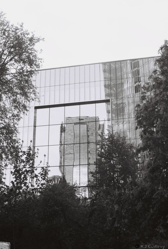 Reflections in Šnipiškės