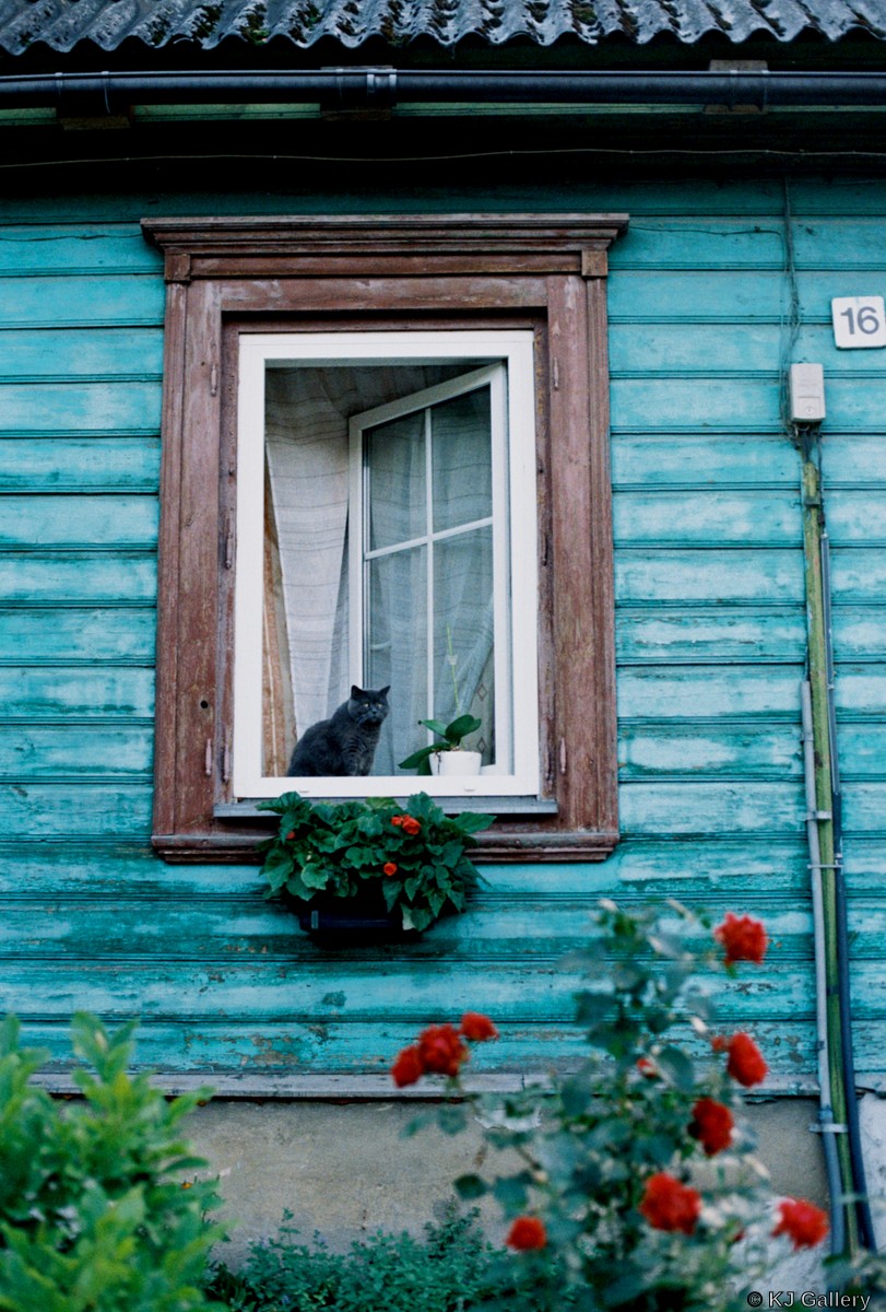 Burbulas - Kodak Gold