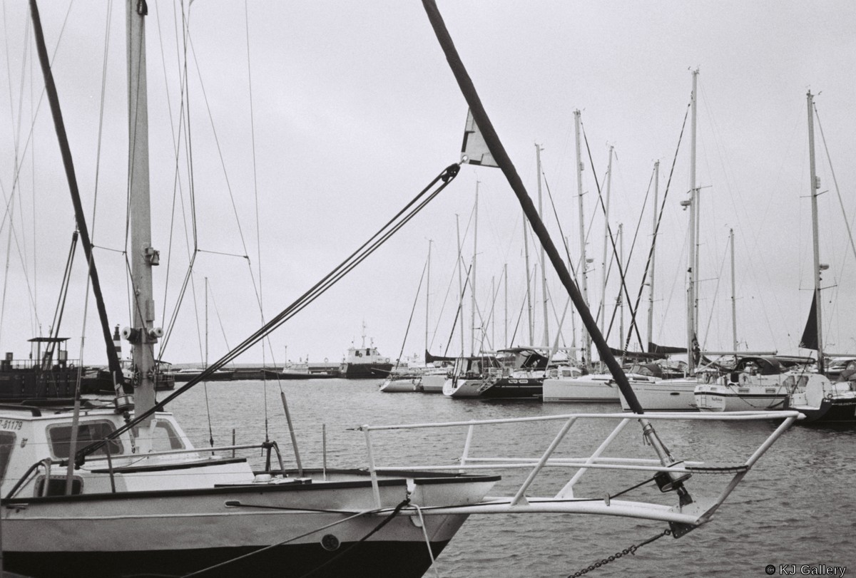 Nidos uostas - Kentmere Pan 400